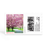 Cherry Blossom NetStamps Sheets