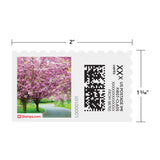 Cherry Blossom NetStamps Sheets