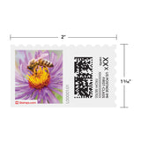 Spring Honeybee NetStamps Sheets