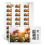 Themed NetStamps Sheets
